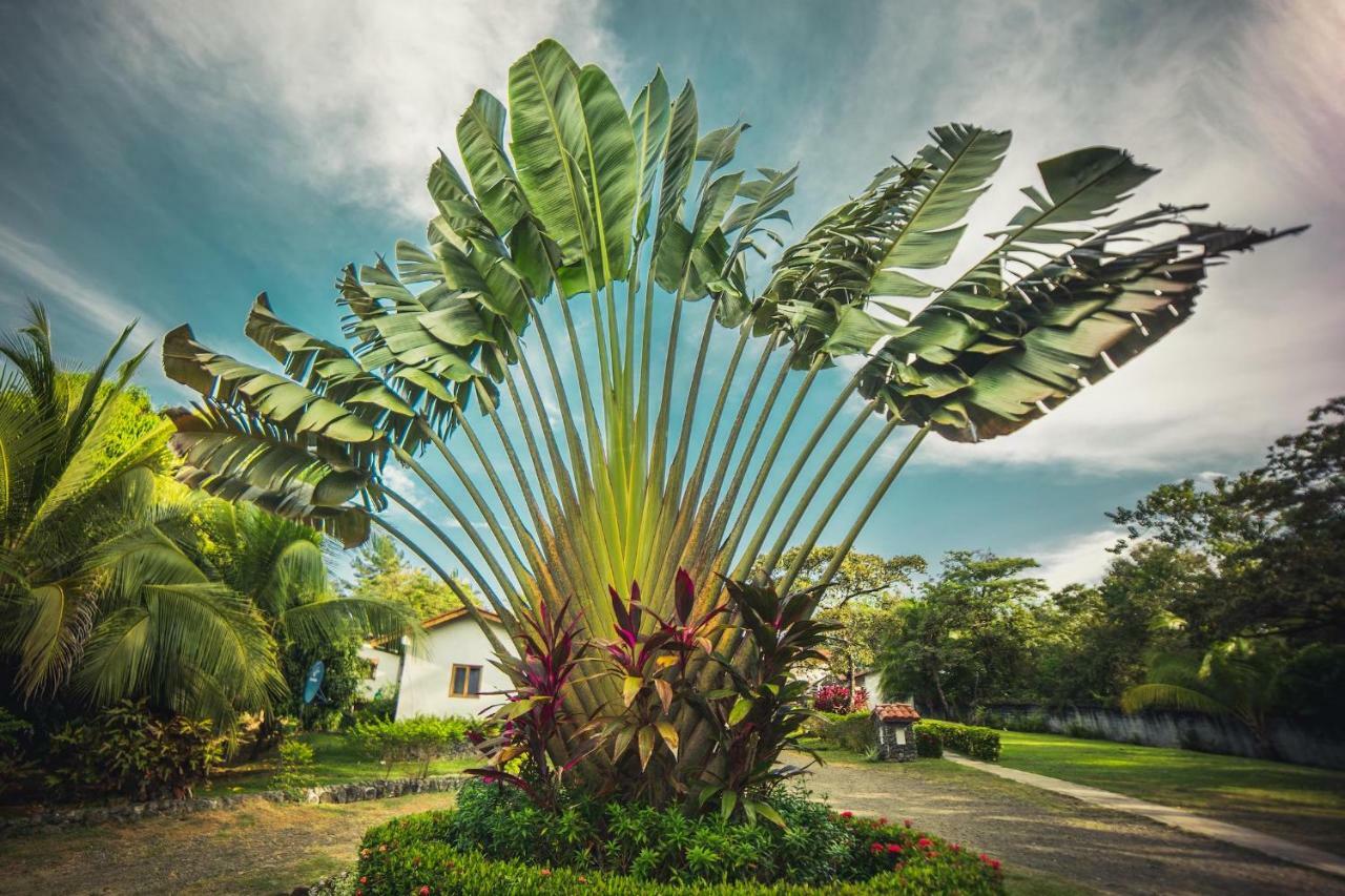 Hotel Santa Catalina Panama Eksteriør billede
